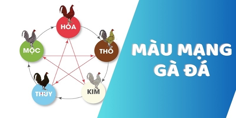 Những yếu tố ảnh hưởng đến màu mạng gà đá